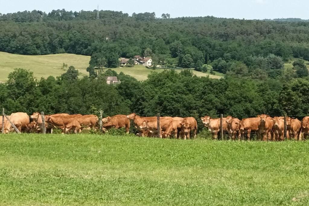 Gite Aux Vieux Bois Lunas  Экстерьер фото