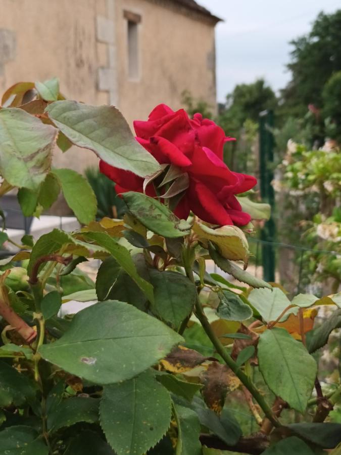 Gite Aux Vieux Bois Lunas  Экстерьер фото