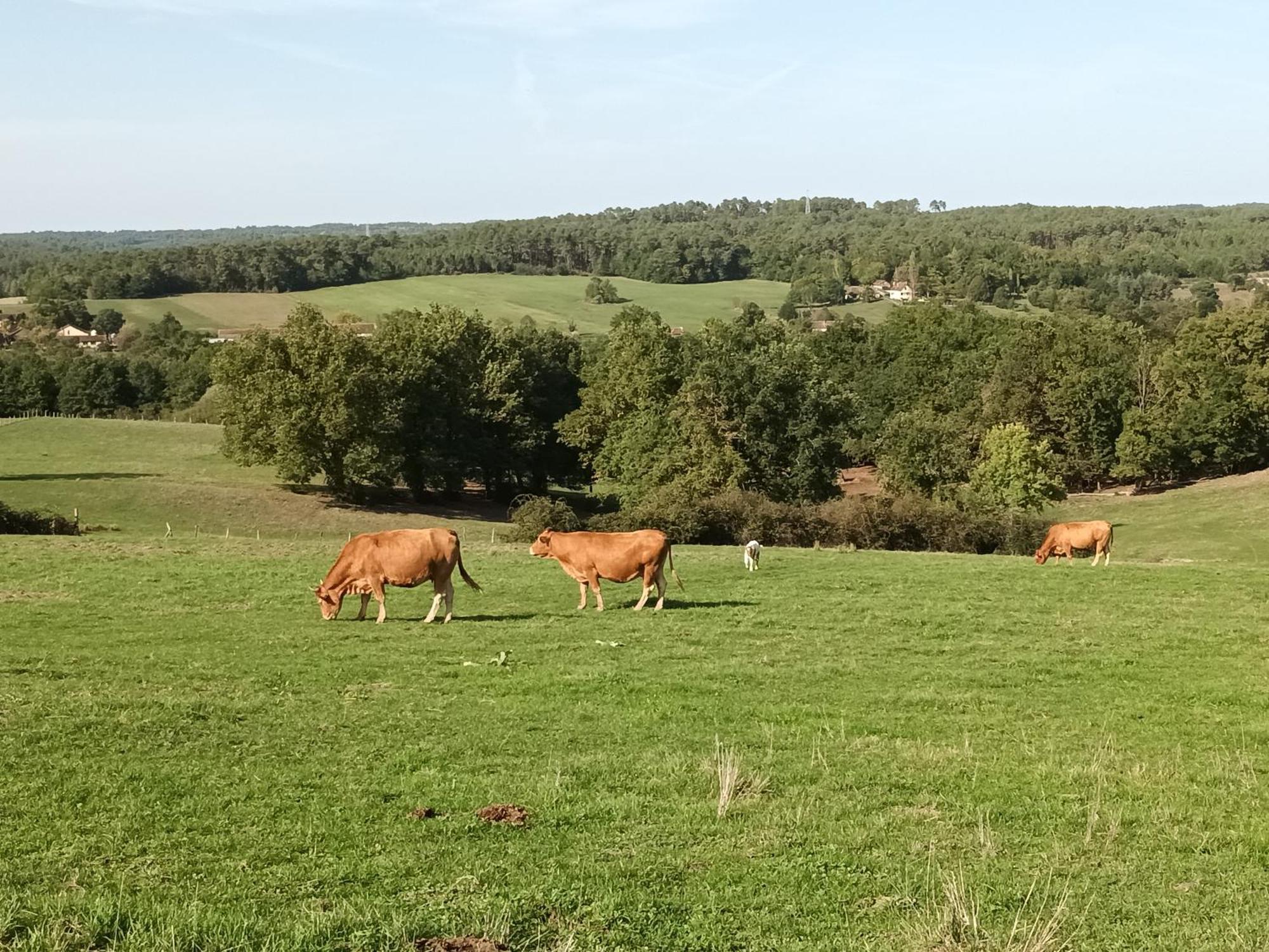 Gite Aux Vieux Bois Lunas  Экстерьер фото